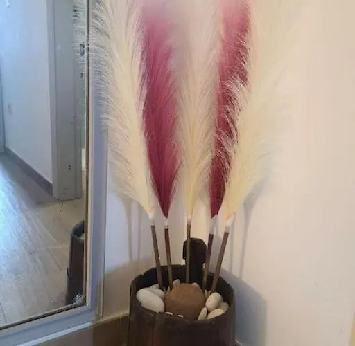 Casa Sofia In Appartamento